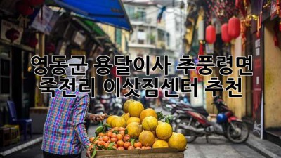 영동군 용달이사, 추풍령면 죽전리 이삿짐센터 추천!